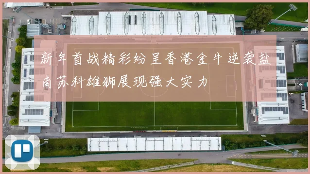 新年首战精彩纷呈香港金牛逆袭盐南苏科雄狮展现强大实力