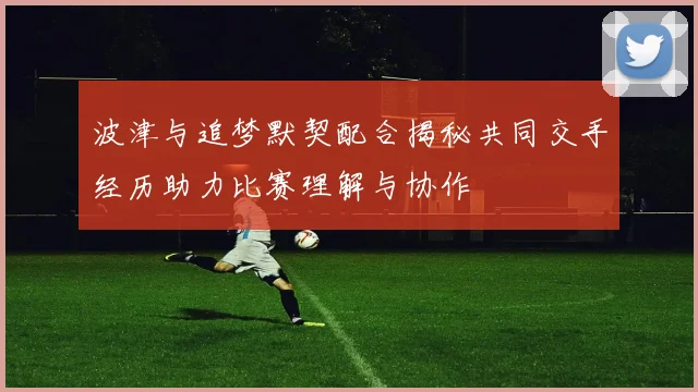波津与追梦默契配合揭秘共同交手经历助力比赛理解与协作