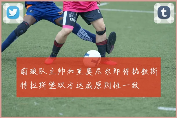 前狼队主帅加里奥尼尔即将执教斯特拉斯堡双方达成原则性一致