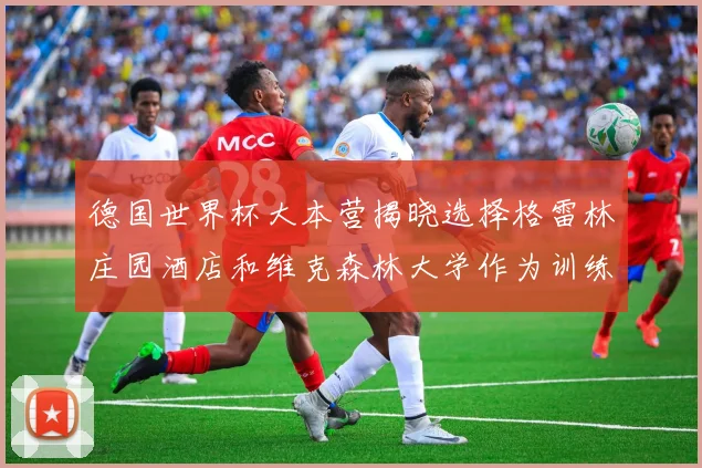 德国世界杯大本营揭晓选择格雷林庄园酒店和维克森林大学作为训练基地