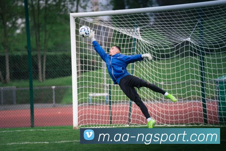 南宫体育平台生态图