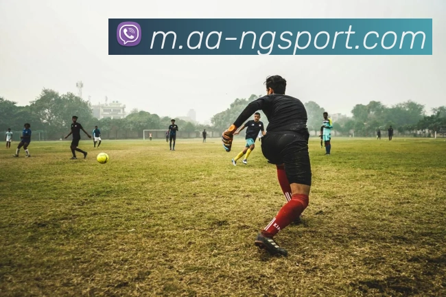 南宫体育APP 封面图